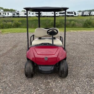 2020 Yamaha Drive2 2 Passenger Golf Cart